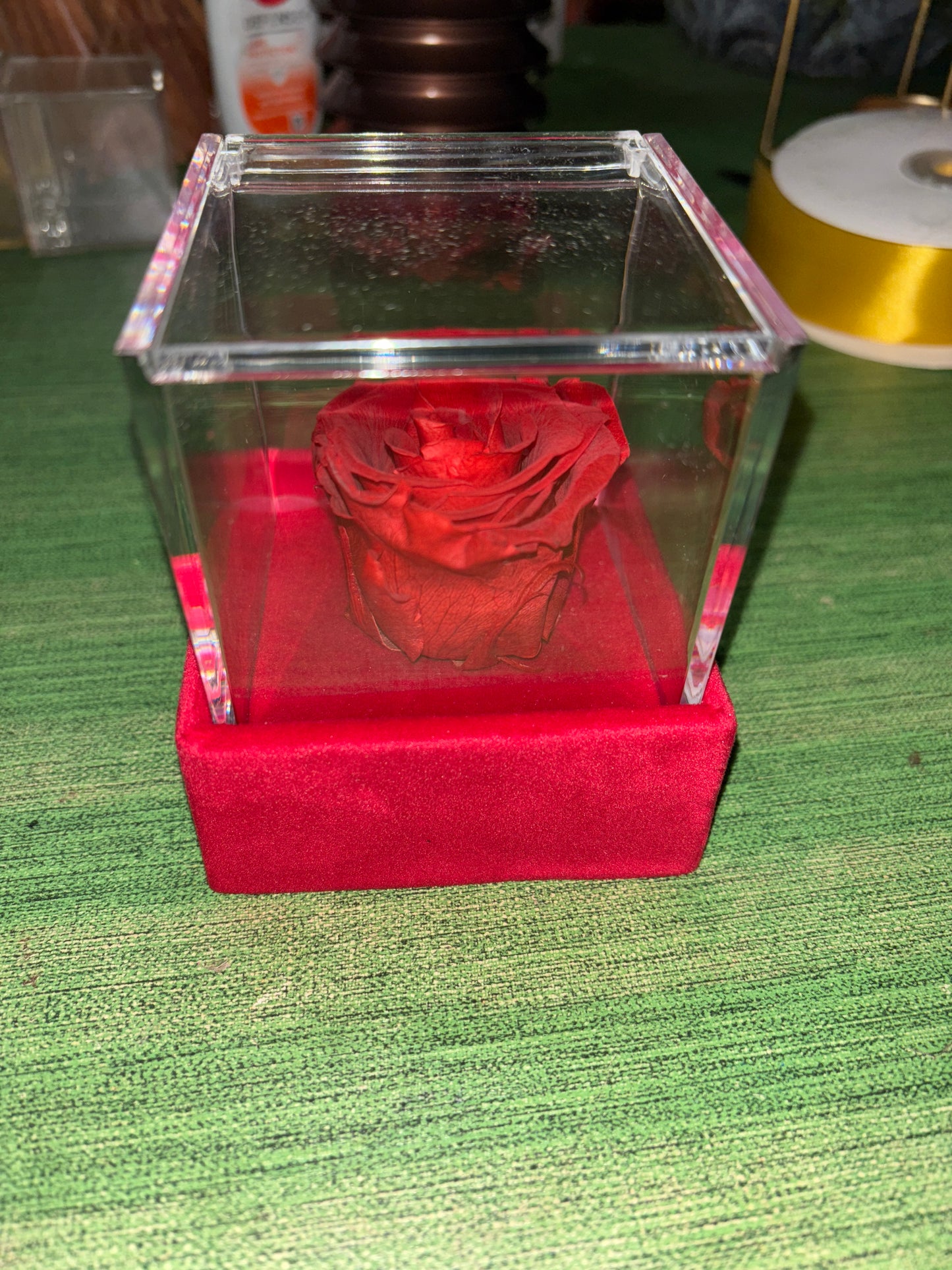 Rosa stabilizzata