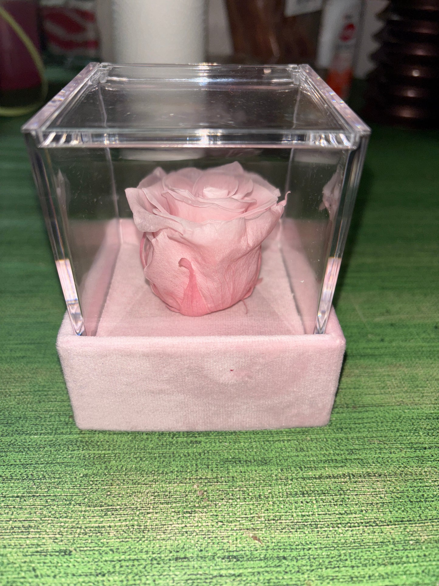 Rosa stabilizzata