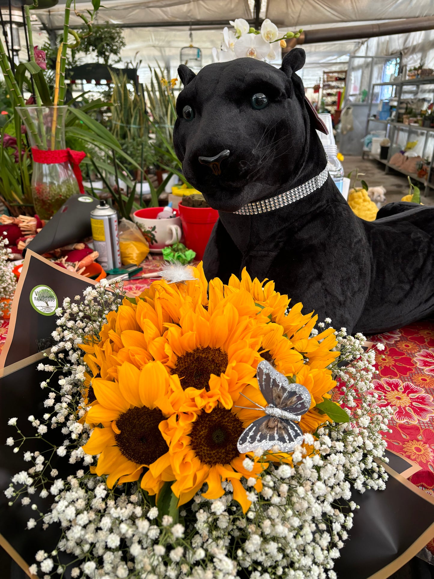 Pantera + bouquet girasoli