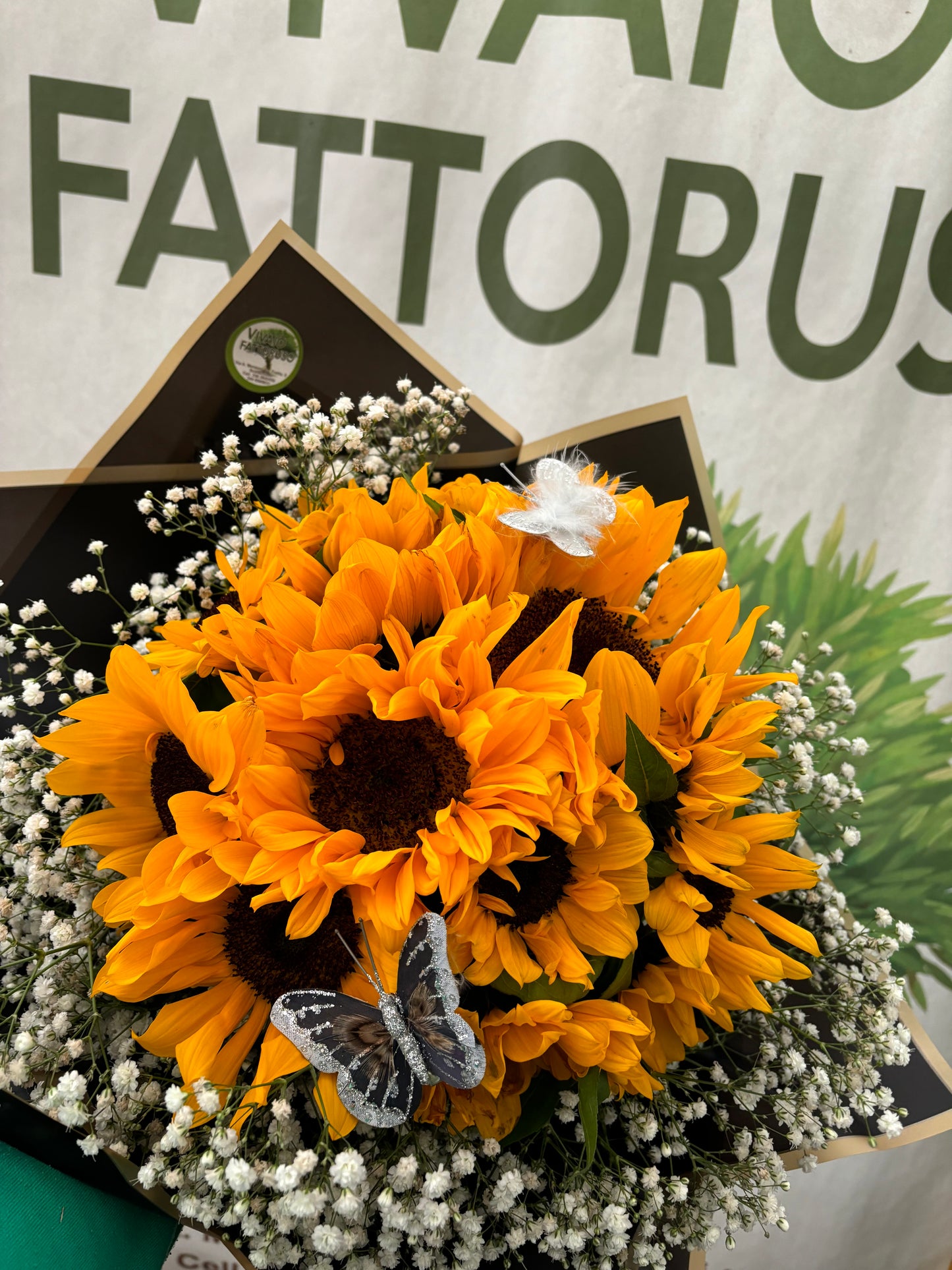 Pantera + bouquet girasoli